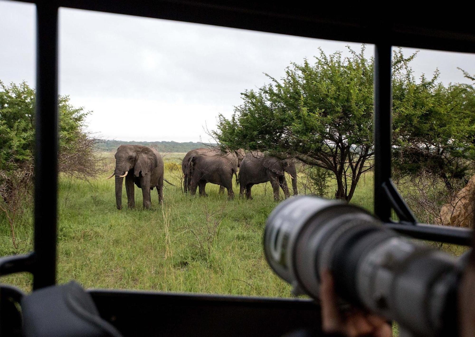Royal Thonga Safari Lodge Sihangwane Exterior foto